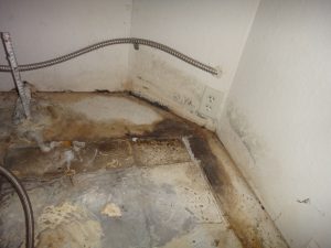 Mold
