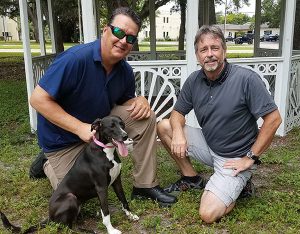 Bed Bug Detection Dog